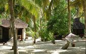 Туры в отель Marari Beach Resort