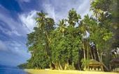 Туры в отель Maravu Plantation Resort