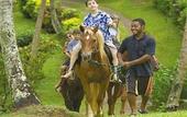Туры в отель Maravu Plantation Resort