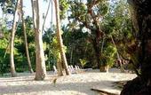 Туры в отель Maravu Plantation Resort