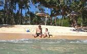 Туры в отель Maravu Plantation Resort