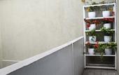 Туры в отель Hotel Living 55