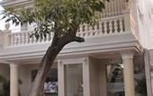 Туры в отель Hotel San Miguel Imperial
