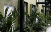 Туры в отель Hotel Oasis Tropical