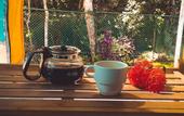 Туры в отель Chunuu Hostal y Glamping Minca
