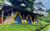 Туры в отель Chunuu Hostal y Glamping Minca