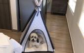 Туры в отель Chunuu Hostal y Glamping Minca