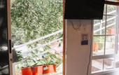 Туры в отель Chunuu Hostal y Glamping Minca