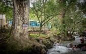 Туры в отель Chunuu Hostal y Glamping Minca