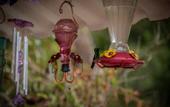 Туры в отель Chunuu Hostal y Glamping Minca