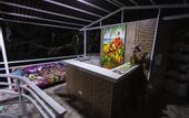 Туры в отель Chunuu Hostal y Glamping Minca