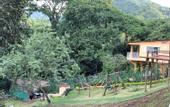 Туры в отель Chunuu Hostal y Glamping Minca
