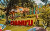 Туры в отель Chunuu Hostal y Glamping Minca