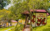 Туры в отель Chunuu Hostal y Glamping Minca