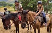 Туры в отель Trekker Glamping
