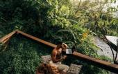Туры в отель Trekker Glamping