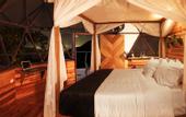 Туры в отель Trekker Glamping