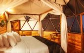 Туры в отель Trekker Glamping