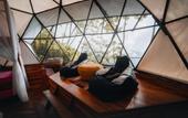 Туры в отель Trekker Glamping