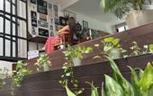 Туры в отель MuchoSur Santa Marta