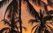 Туры в отель MuchoSur Santa Marta