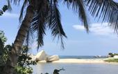 Туры в отель MuchoSur Santa Marta