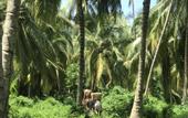Туры в отель MuchoSur Santa Marta