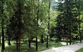 Туры в отель Marcora hotel San Vito di Cadore