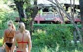 Туры в отель RipJack Inn