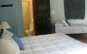 Туры в отель RipJack Inn