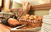 Туры в отель KC Hotel San Jose