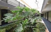 Туры в отель KC Hotel San Jose