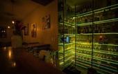 Туры в отель KC Hotel San Jose