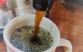 Туры в отель Costa Rica Guesthouse