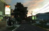 Туры в отель Costa Rica Guesthouse