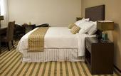 Туры в отель Rincon del Valle Hotel & Suites
