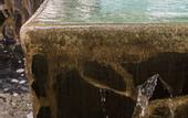Туры в отель Rincon del Valle Hotel & Suites