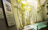 Туры в отель Rincon del Valle Hotel & Suites