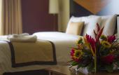Туры в отель Sleep Inn Hotel Paseo Las Damas