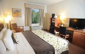 Туры в отель Sleep Inn Hotel Paseo Las Damas