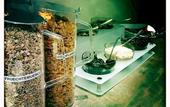 Туры в отель Business Class Hotel Ebersberg