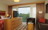 Туры в отель Hotel Fire & Ice