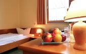 Туры в отель Landhotel Dresden