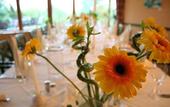 Туры в отель Landhotel Dresden