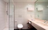Туры в отель Erikson Hotel