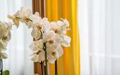 Туры в отель Central-Hotel Kaiserhof