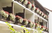 Туры в отель Hotel St Georg