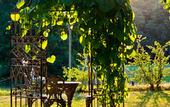 Туры в отель The Lakeside Burghotel zu Strausberg