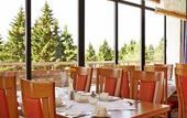 Туры в отель AHORN Panorama Hotel Oberhof