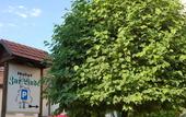 Туры в отель Hotel Zur Linde